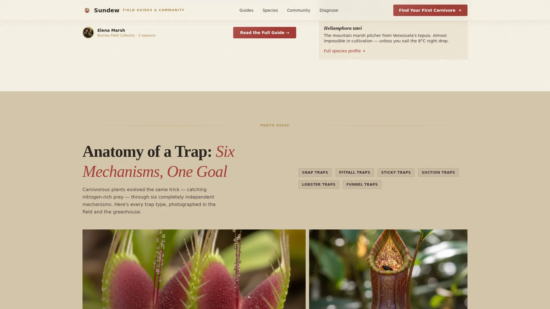 Hobby & Passion Content Online Blog Website Template