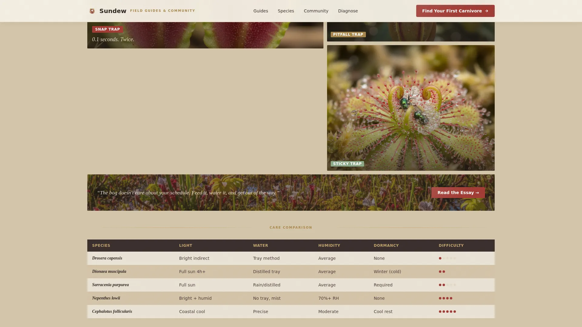 Hobby & Passion Content Online Blog Website Template