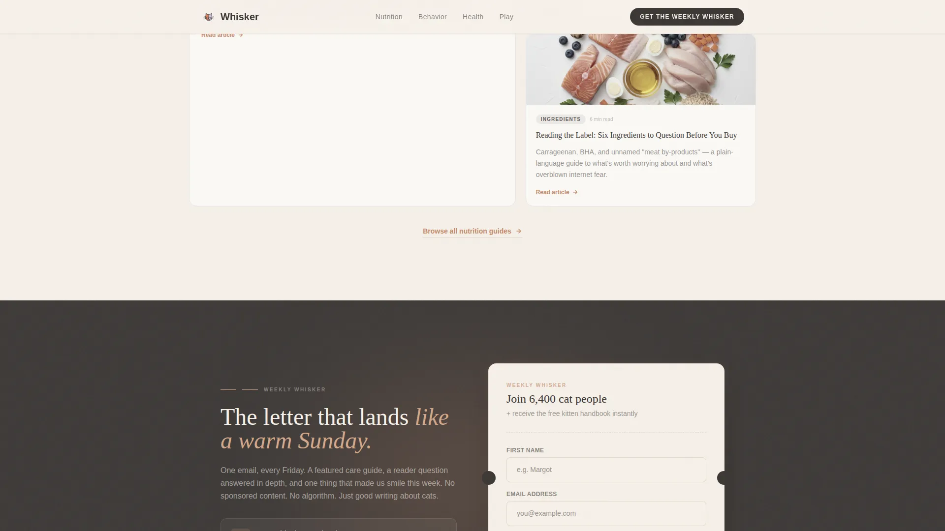 Pet & Animal Blog Blog Website Template