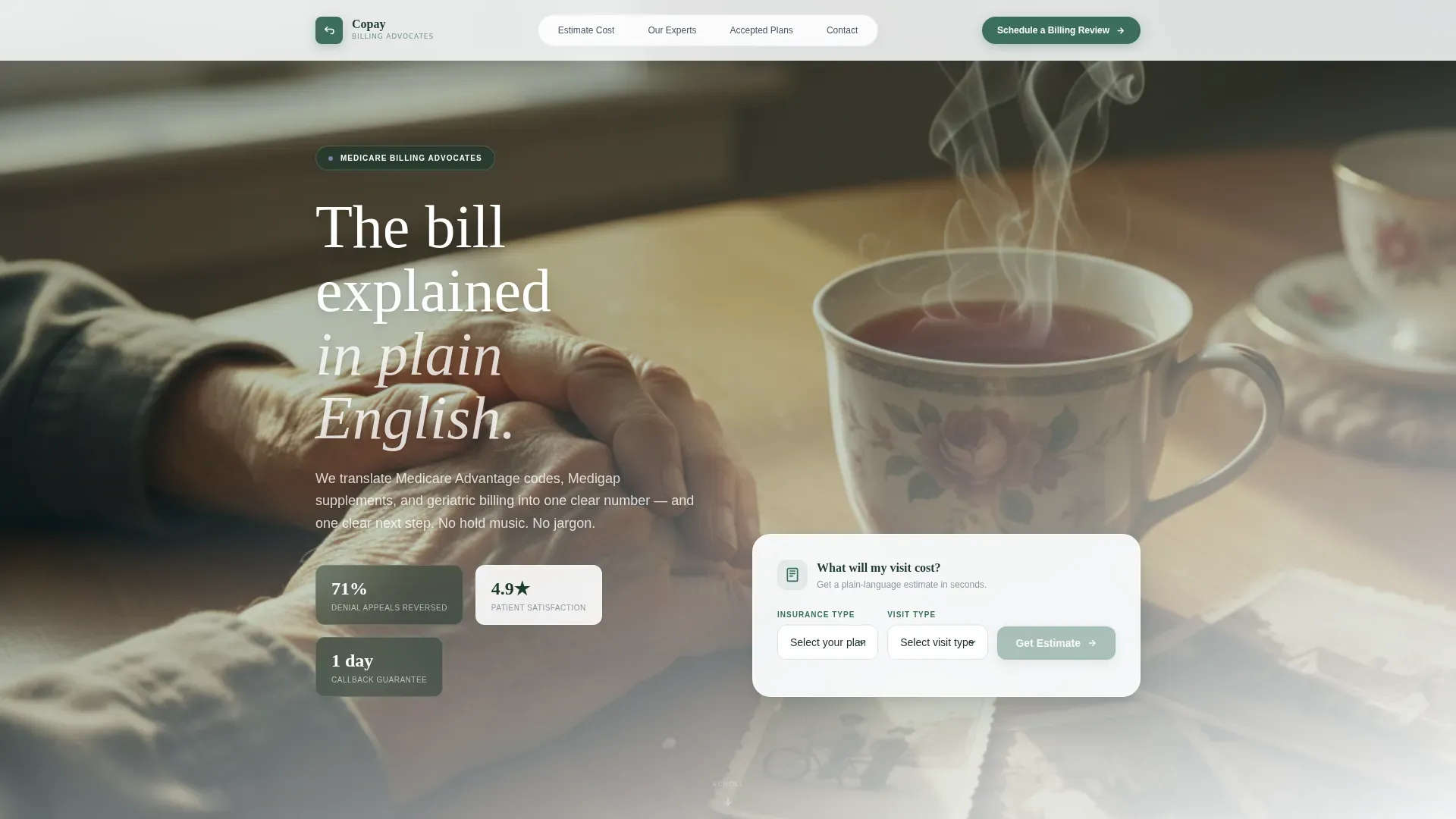 Billing Services Landing Page Template