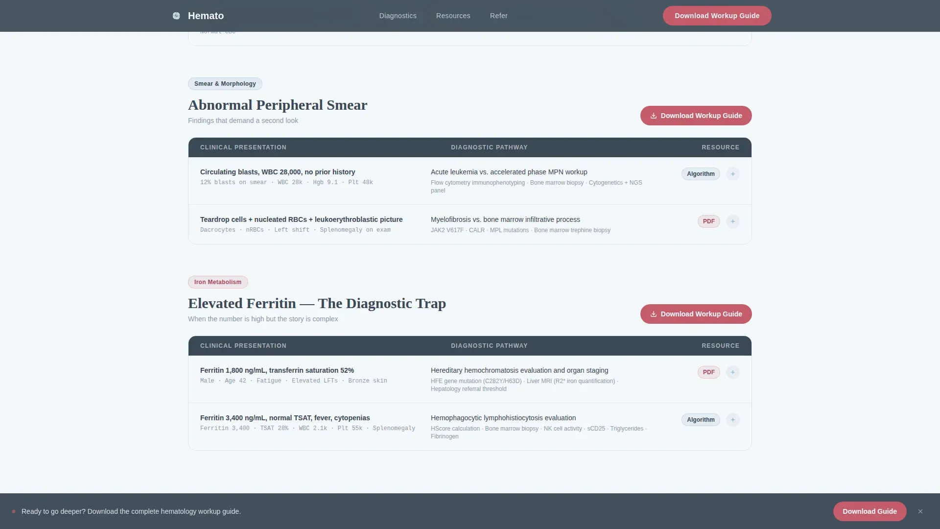 Hematologist Practice Website Template with Diagnostic Pathways