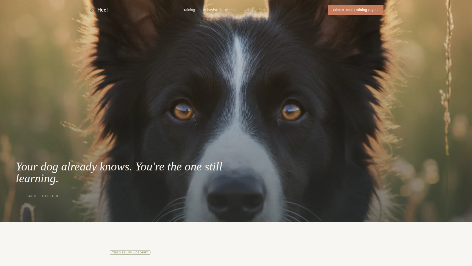 Dog Training Blog Landing Page Template