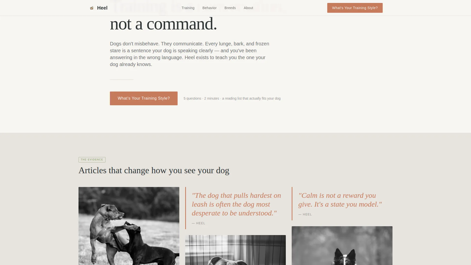 Dog Training Blog Landing Page Template