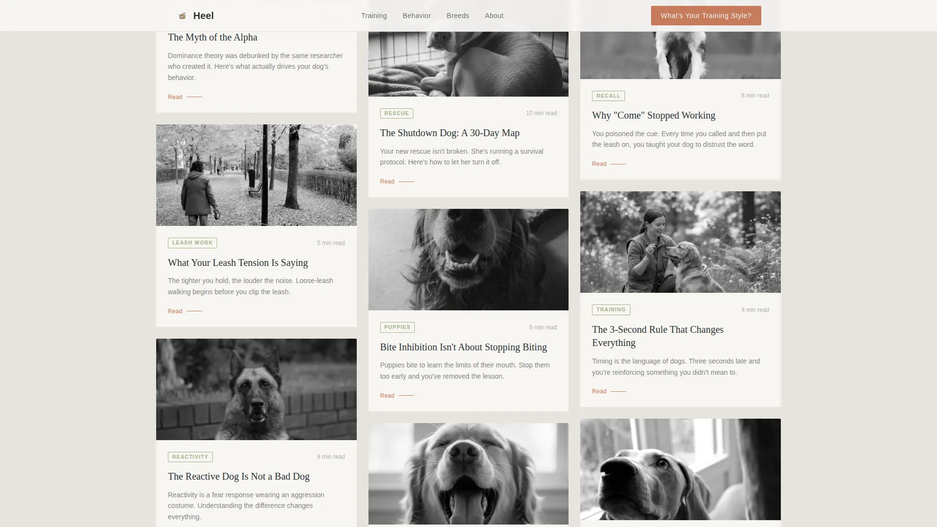 Dog Training Blog Landing Page Template