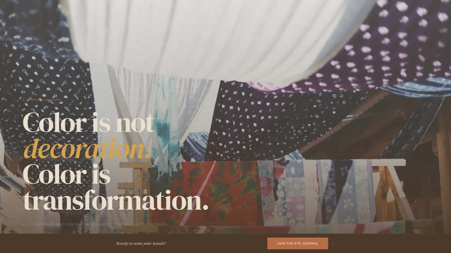 Complete Hobby & Passion Content Portfolio & Case Study Website Template