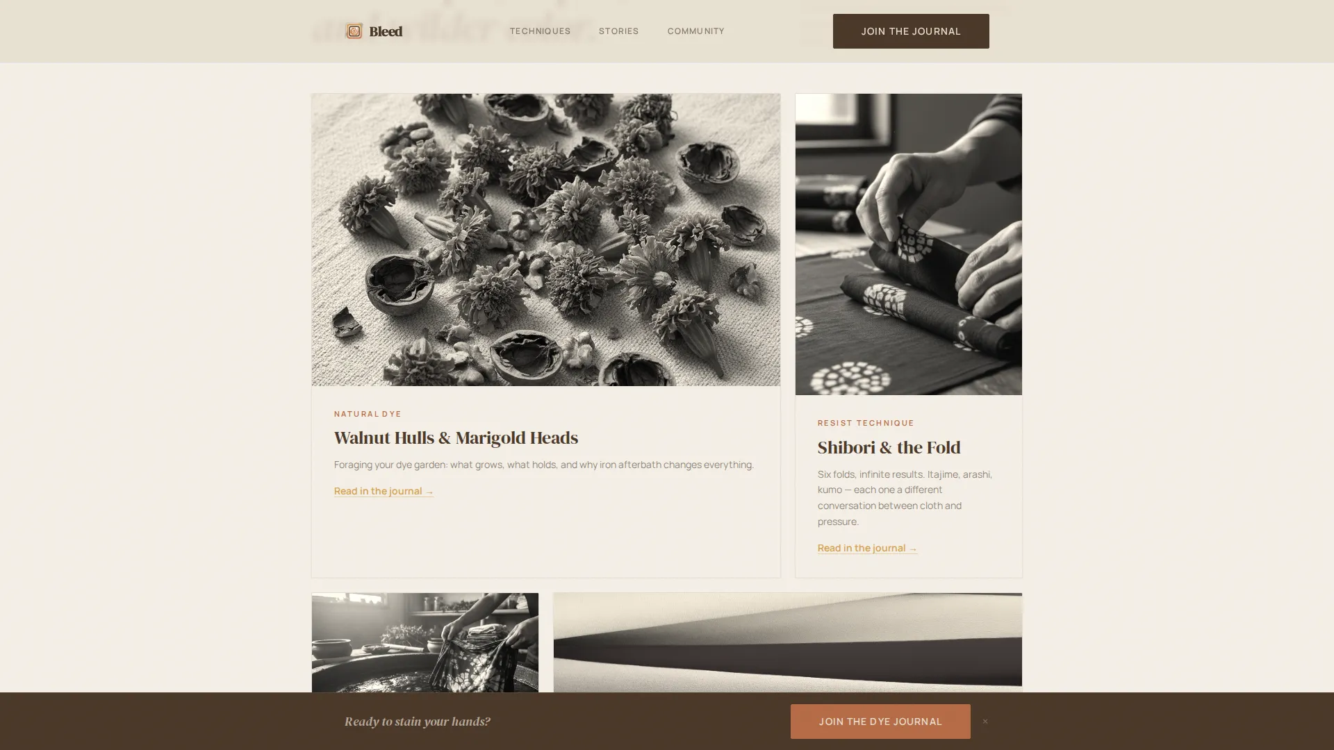 Complete Hobby & Passion Content Portfolio & Case Study Website Template