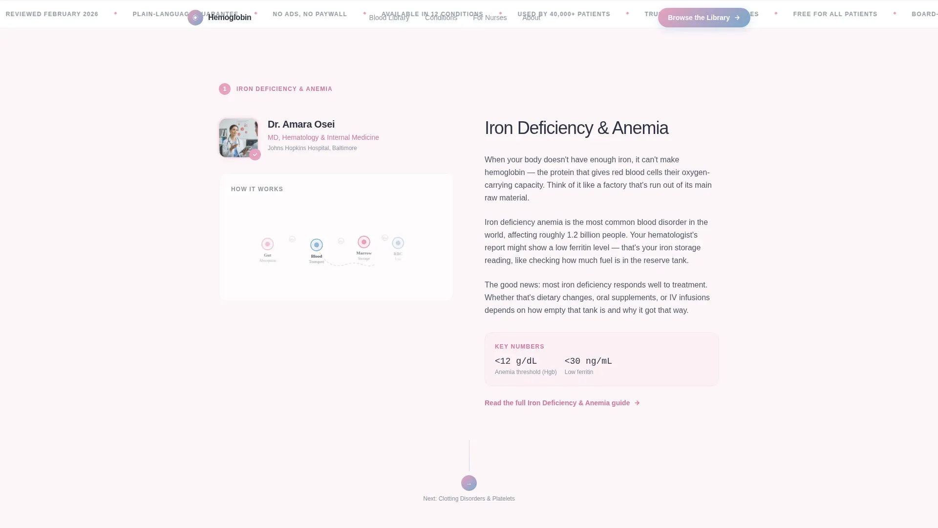 Hematology Education Landing Page Template