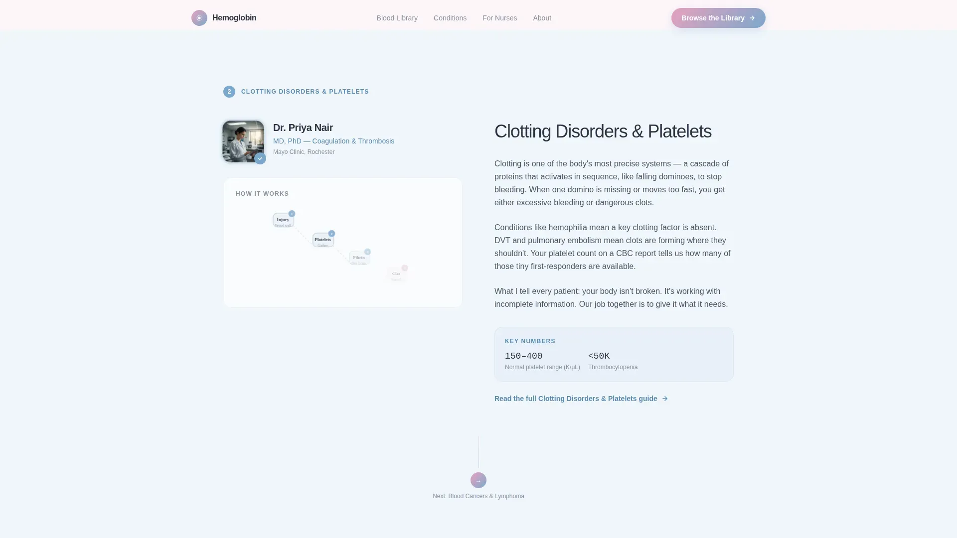 Hematology Education Landing Page Template
