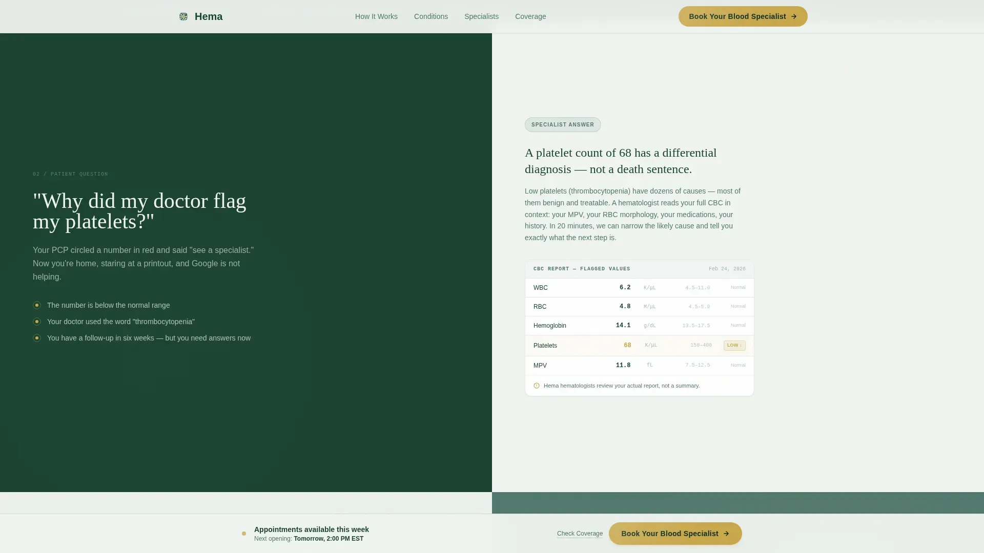 Hematology Telemedicine Landing Page Template