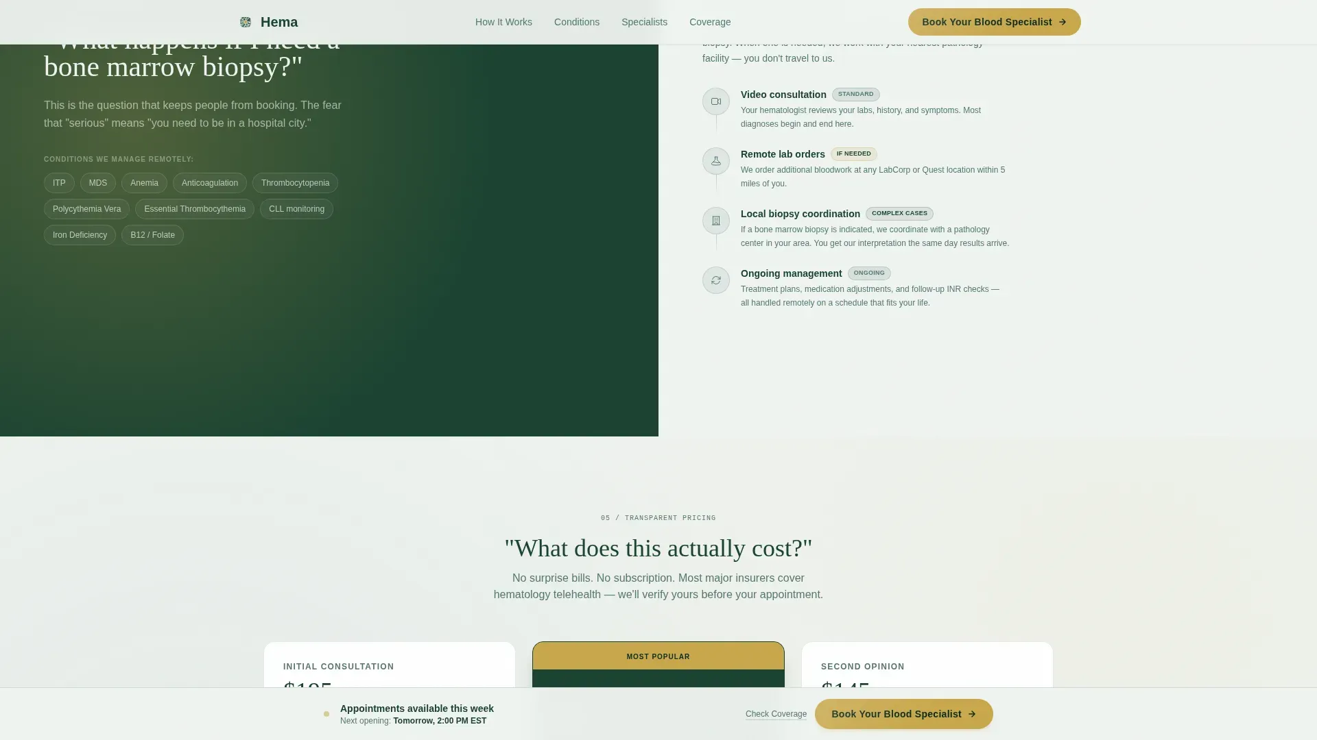 Hematology Telemedicine Landing Page Template