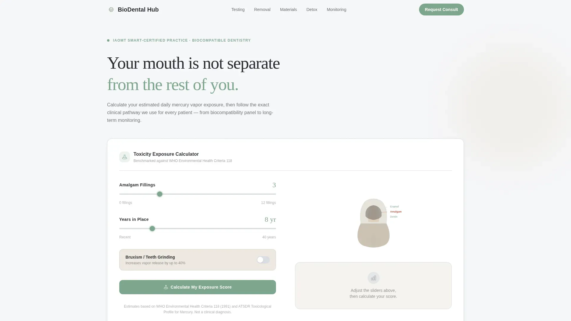 Holistic Dentist Booking Website Template