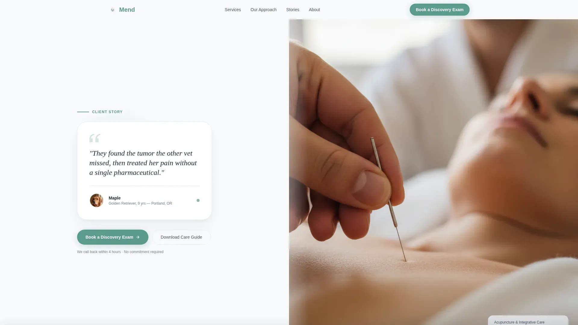 Holistic Vet Landing Page Template for Lead Generation