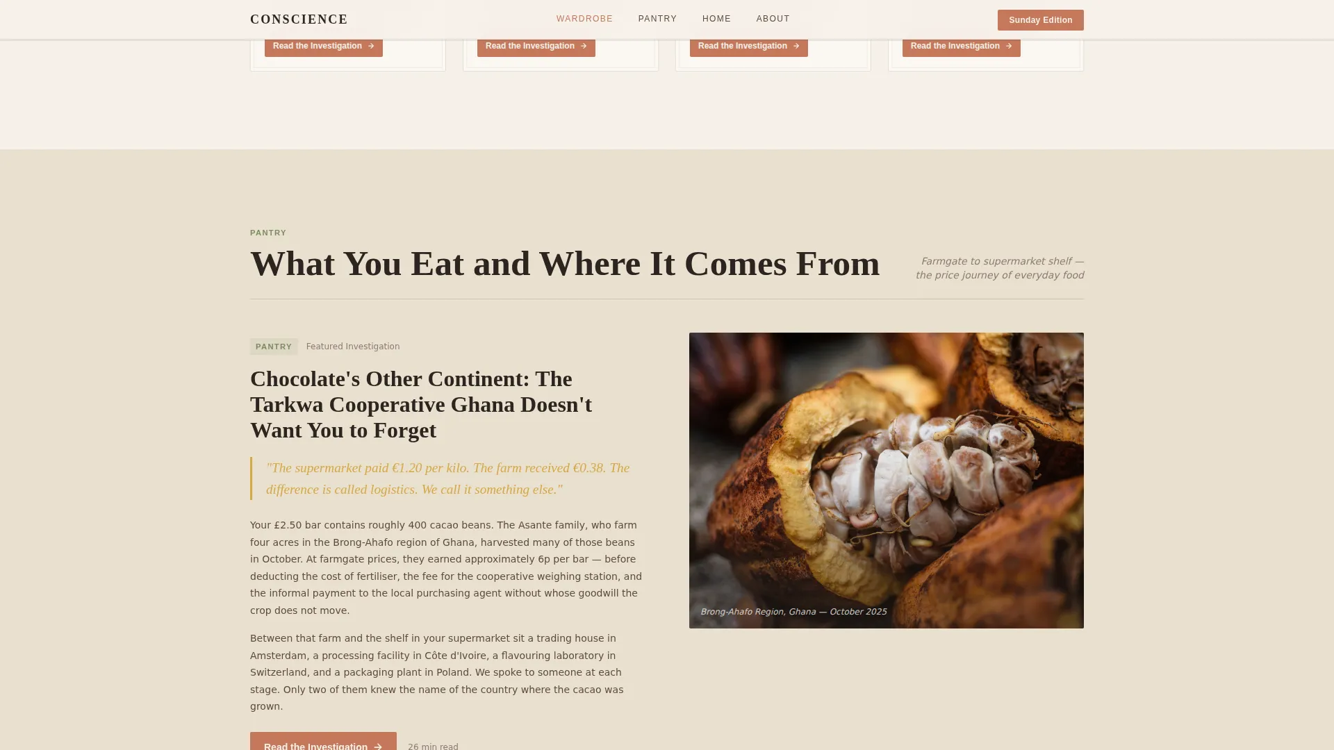Investigative Ethics Blog Landing Page Template