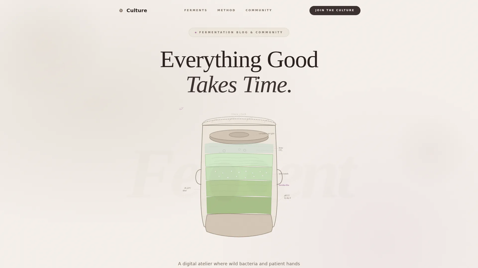 Expert Hobby & Passion Content Portfolio & Case Study Website Template