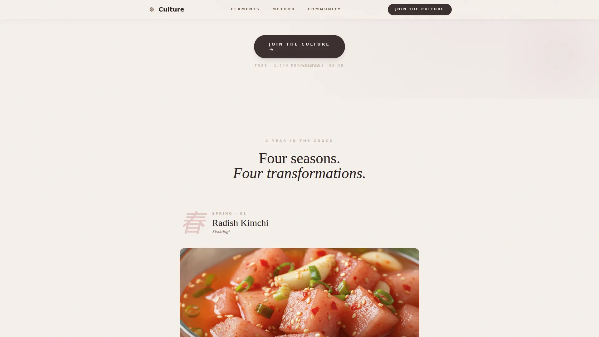 Expert Hobby & Passion Content Portfolio & Case Study Website Template