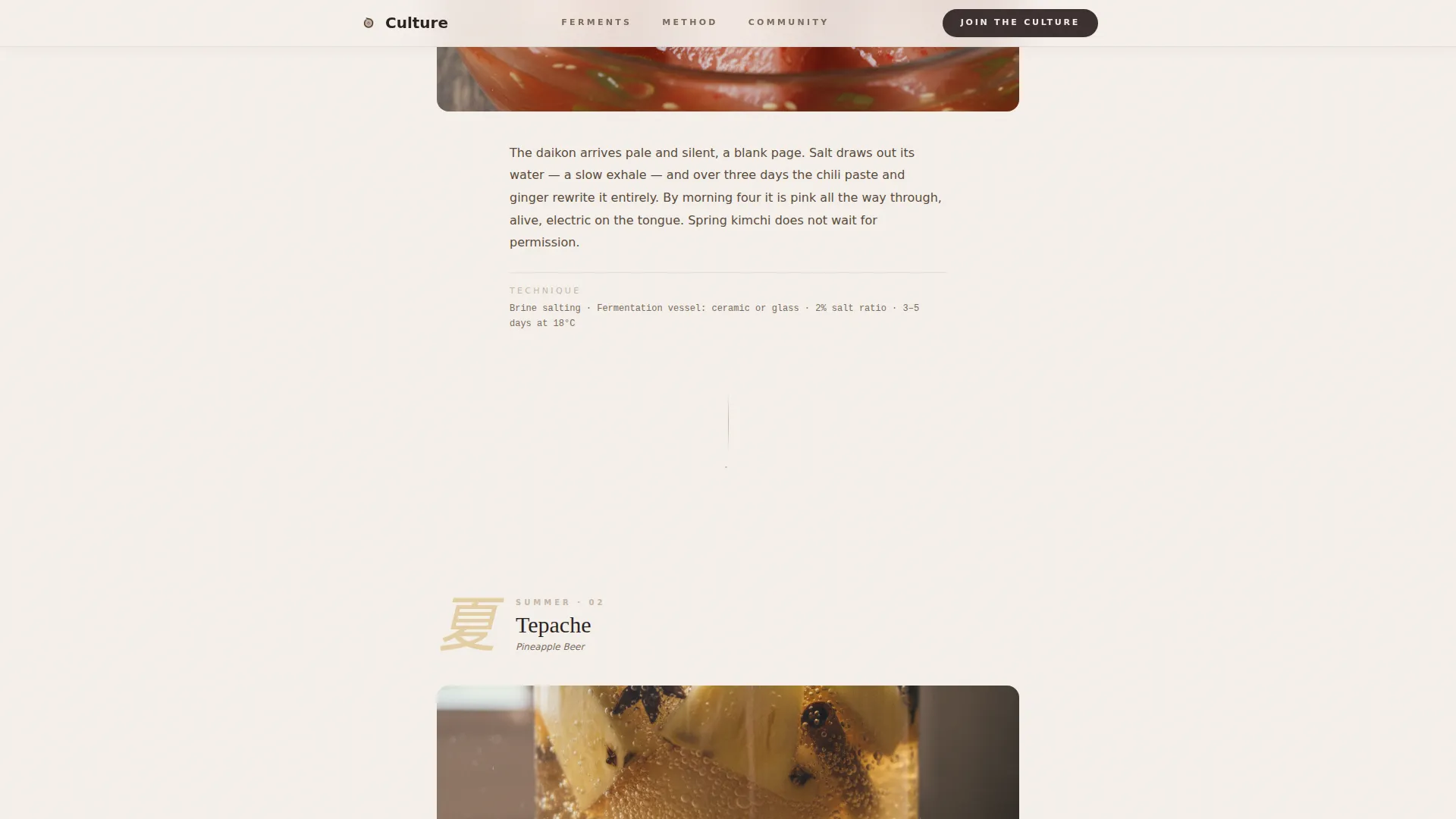Expert Hobby & Passion Content Portfolio & Case Study Website Template