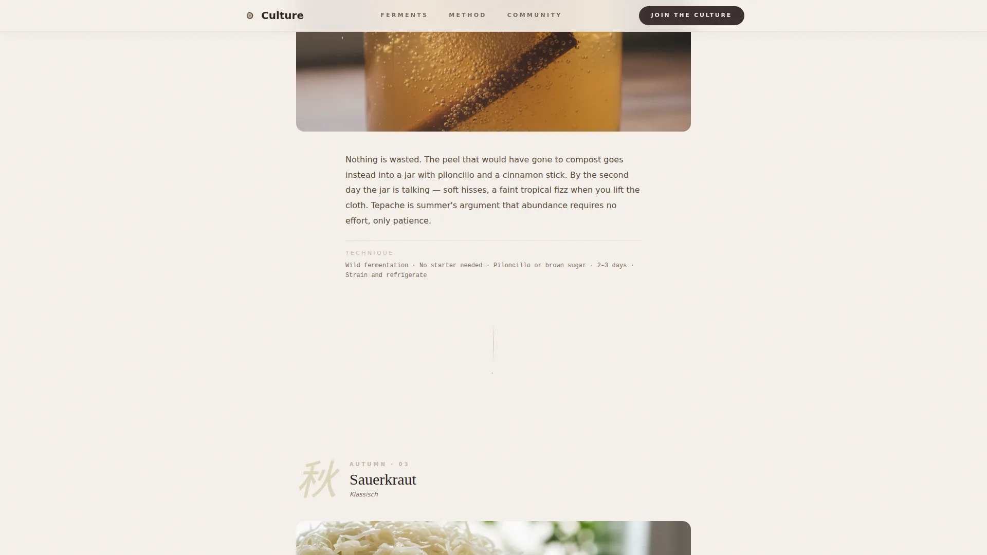 Expert Hobby & Passion Content Portfolio & Case Study Website Template