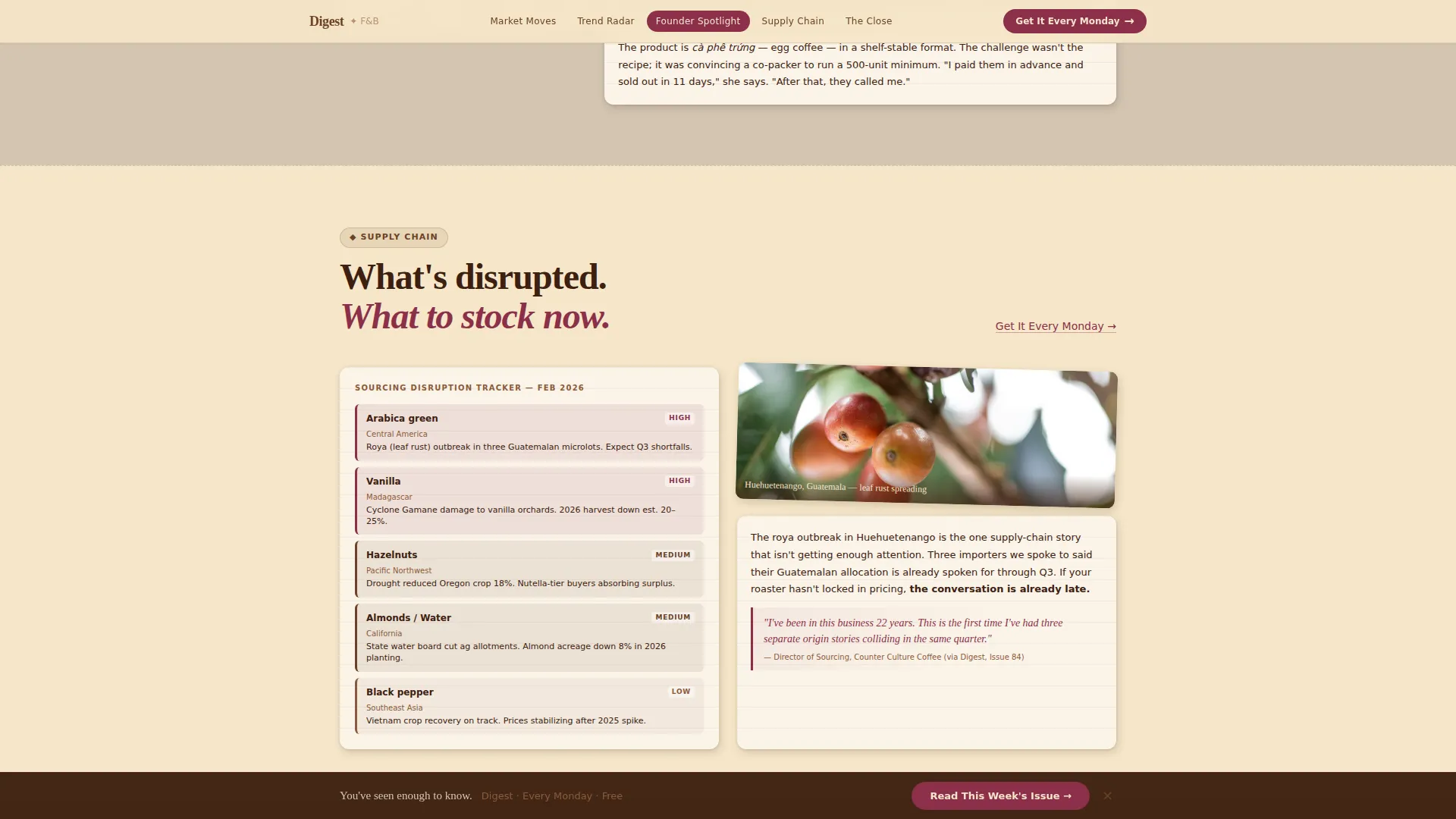 Artisan Food & Beverage Newsletter Landing Page