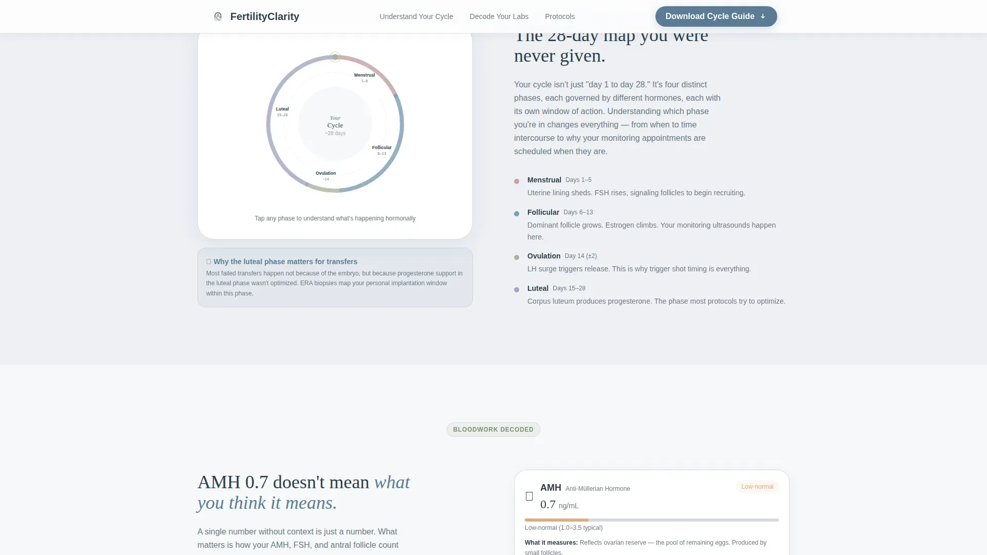 Infertility Patient Education Landing Page Template
