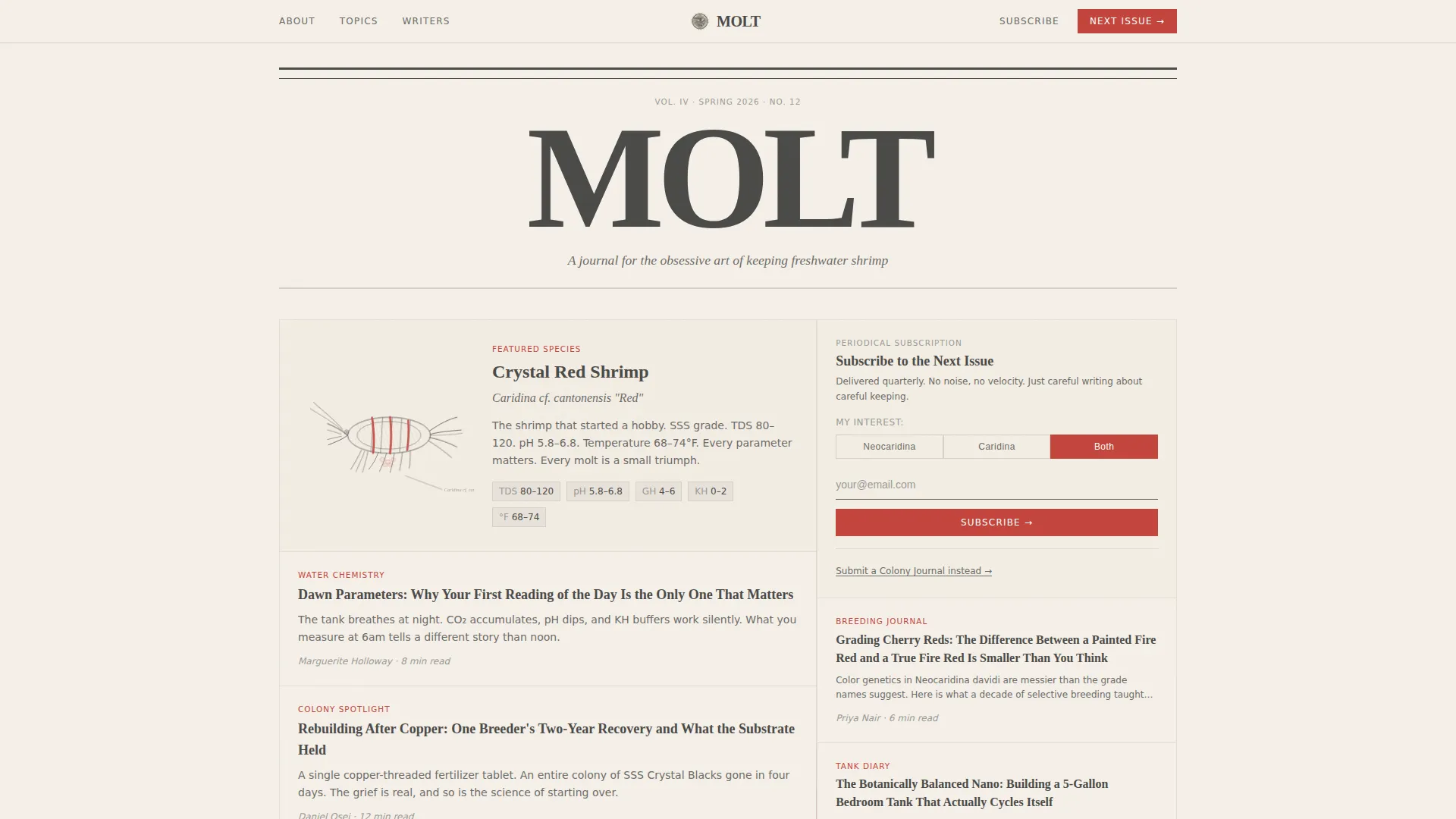 Local Hobby & Passion Content Professional Website Template