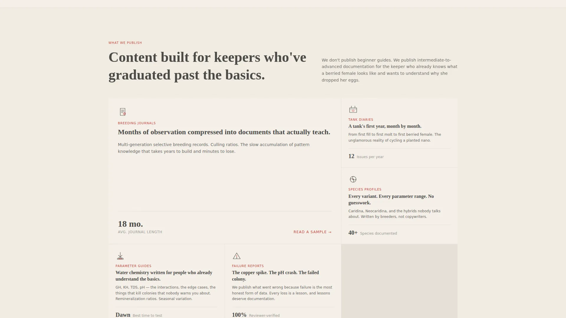Local Hobby & Passion Content Professional Website Template