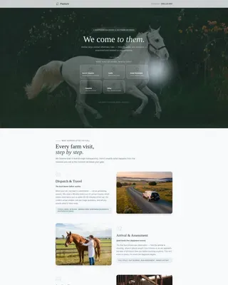Veterinary & Animal Hospital Booking Website Template