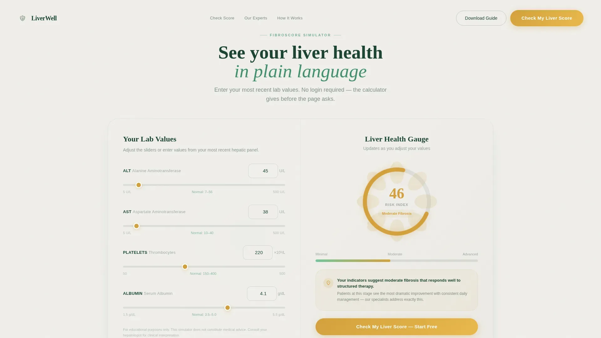 Liver Disease Care Cost Calculator Website Template