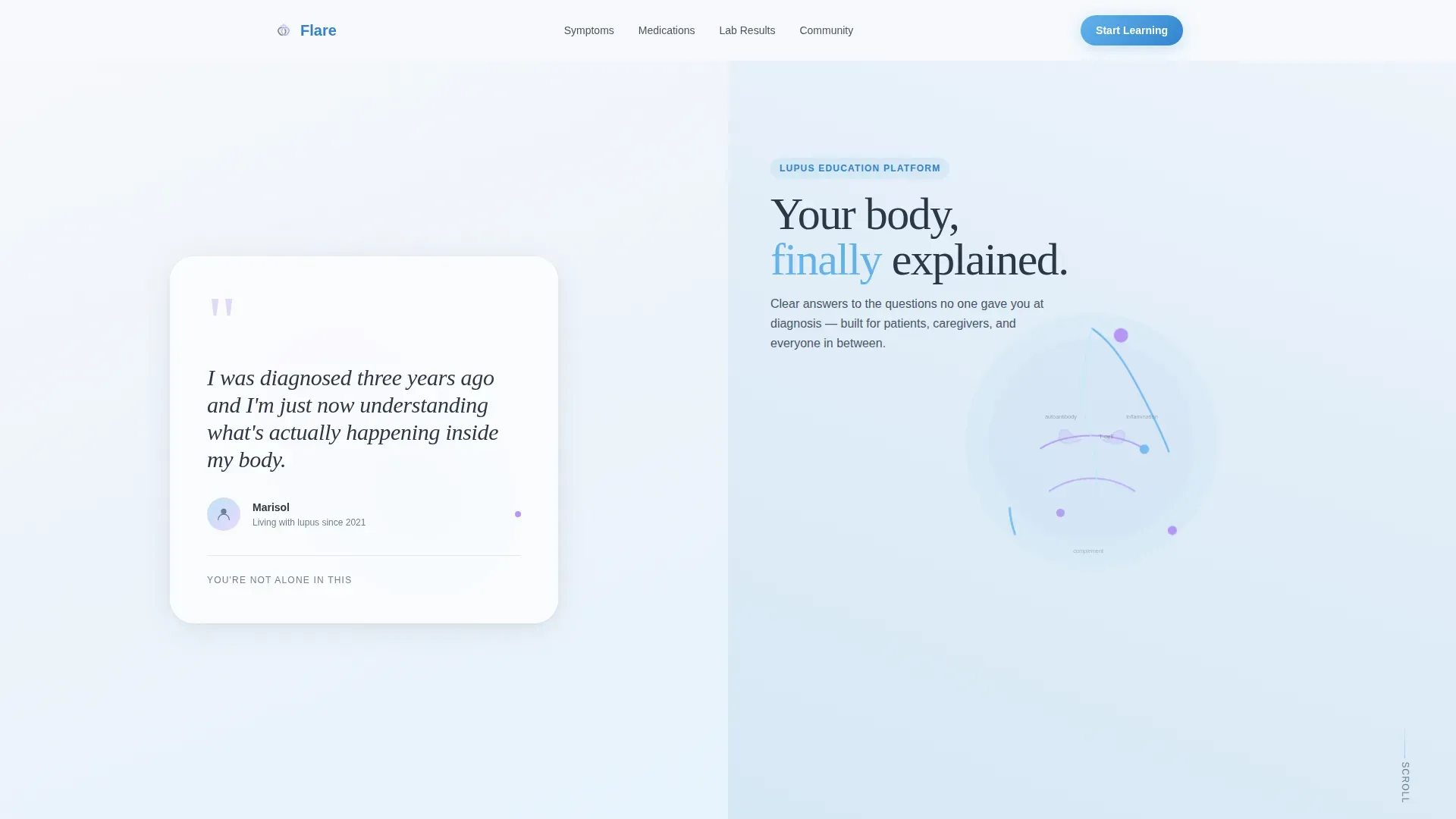 Lupus Care Education Website Template