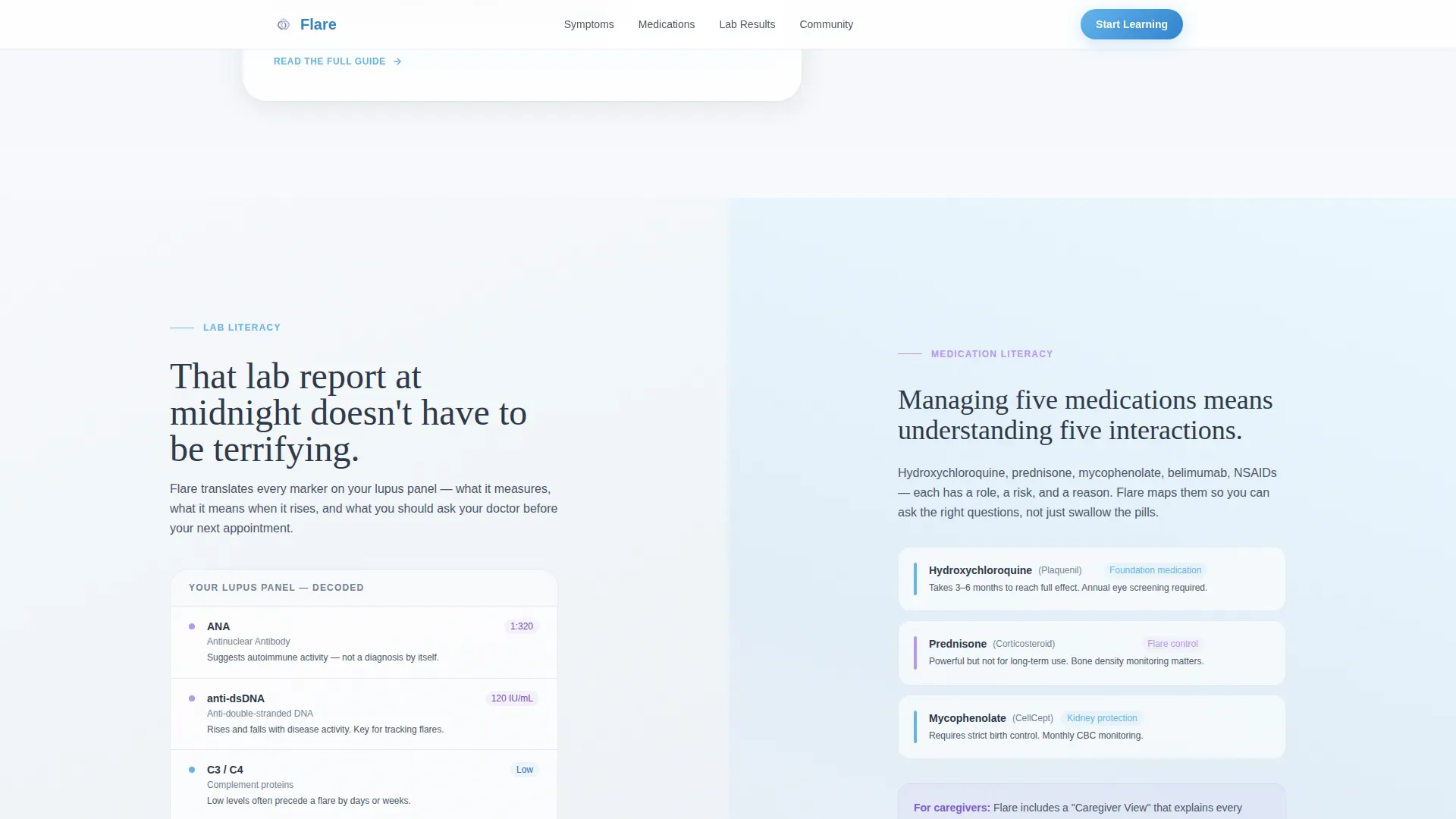 Lupus Care Education Website Template