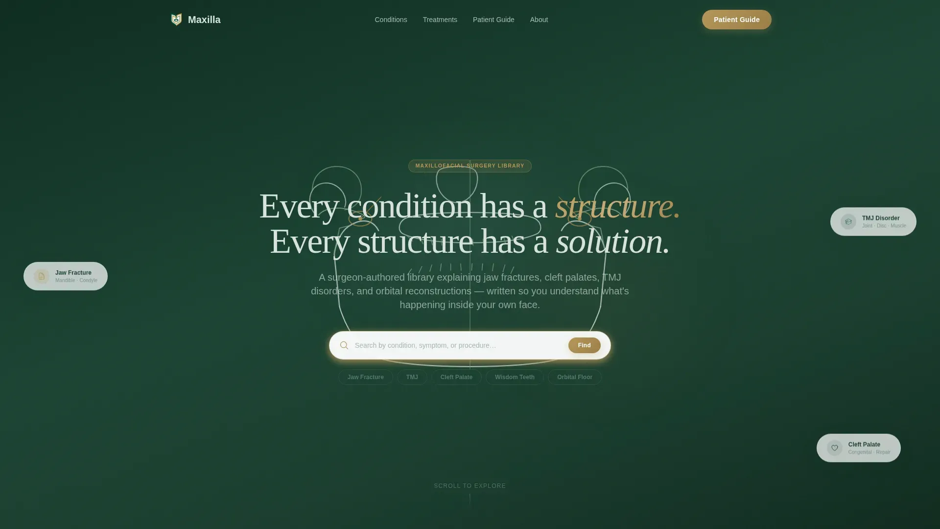 Maxillofacial Surgeon Professional Website Template