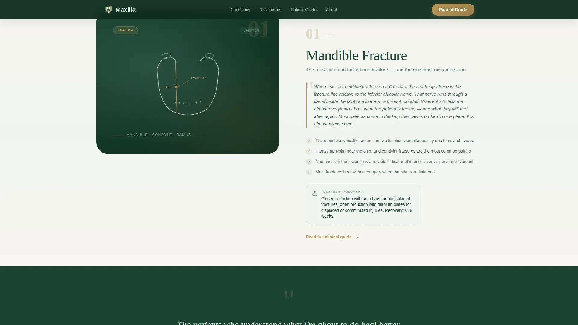 Maxillofacial Surgeon Professional Website Template