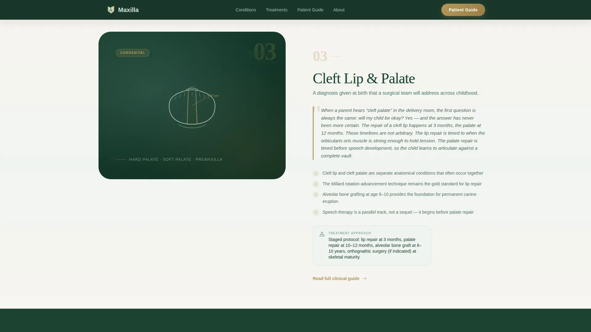 Maxillofacial Surgeon Professional Website Template