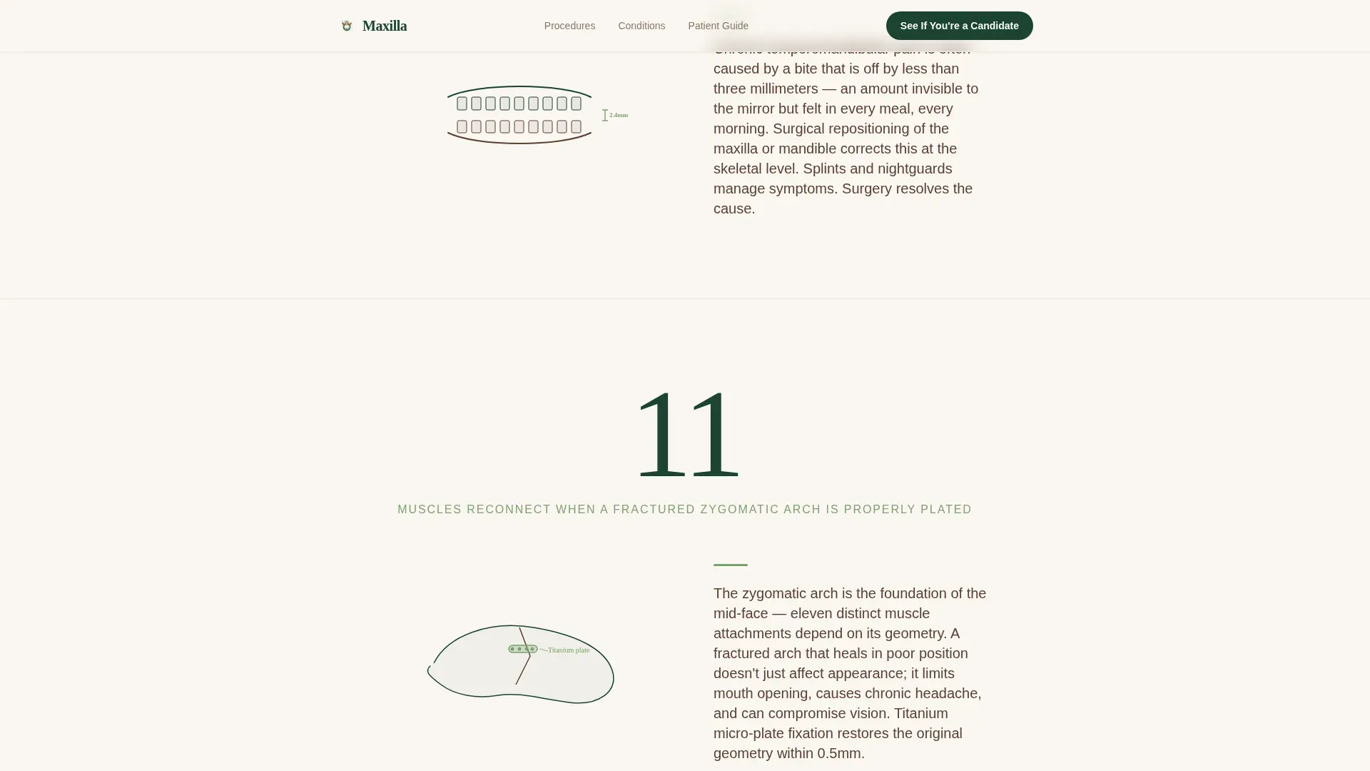 Maxillofacial Surgeon Booking Website Template