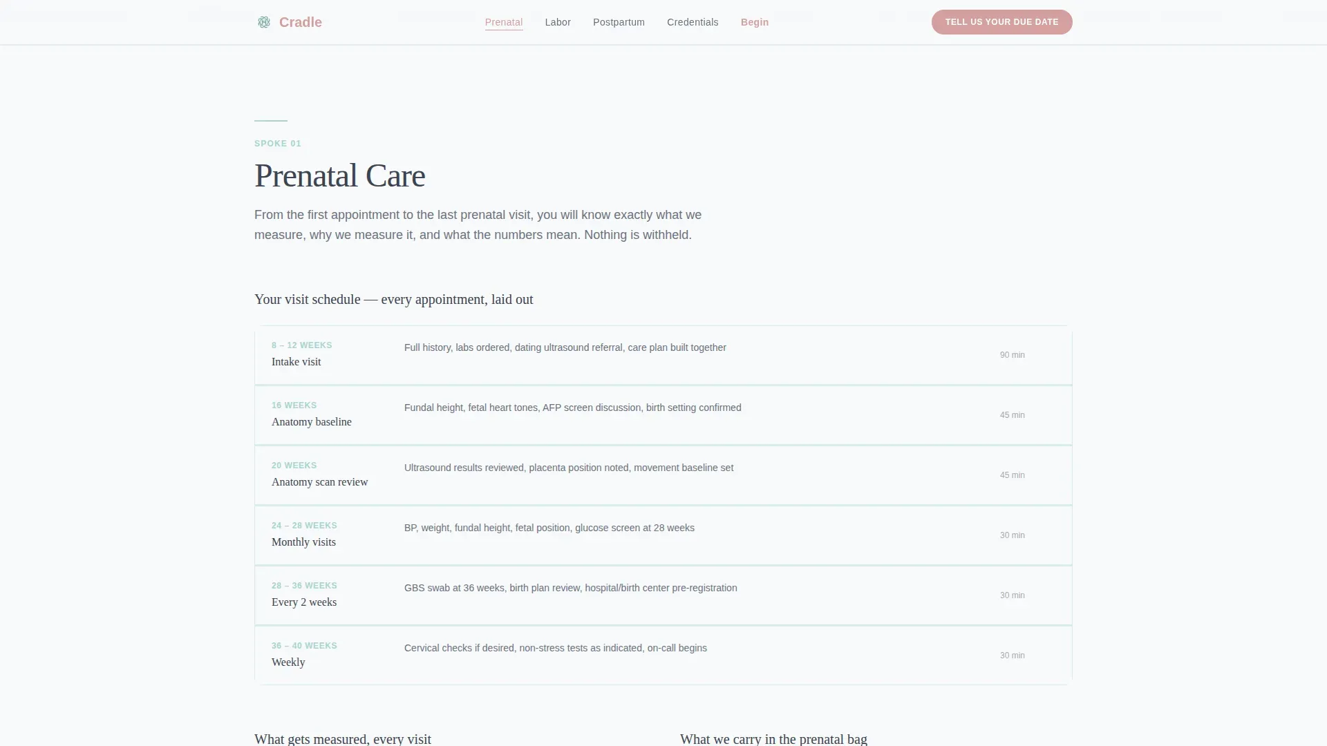Women's Health & OB-GYN Professional Website Template