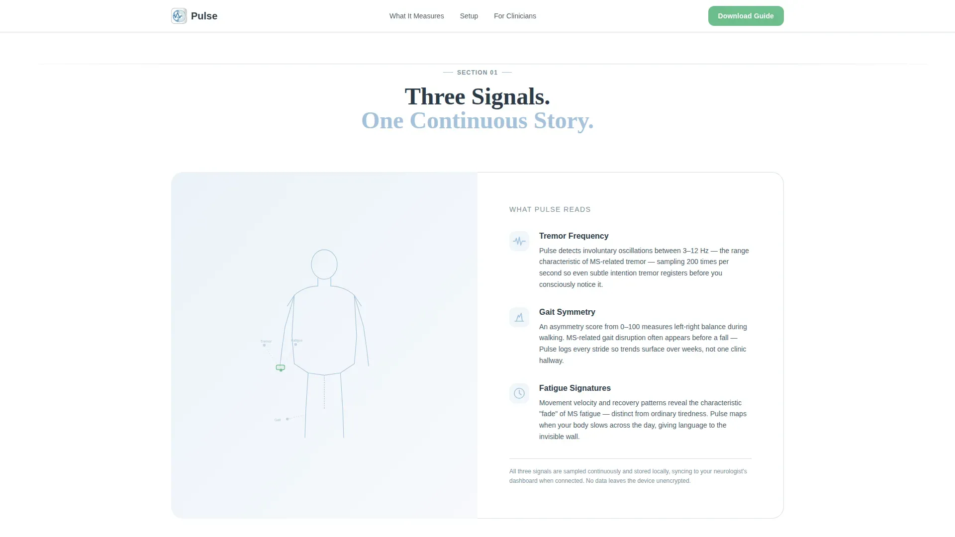 Multiple Sclerosis Care Professional Website Template