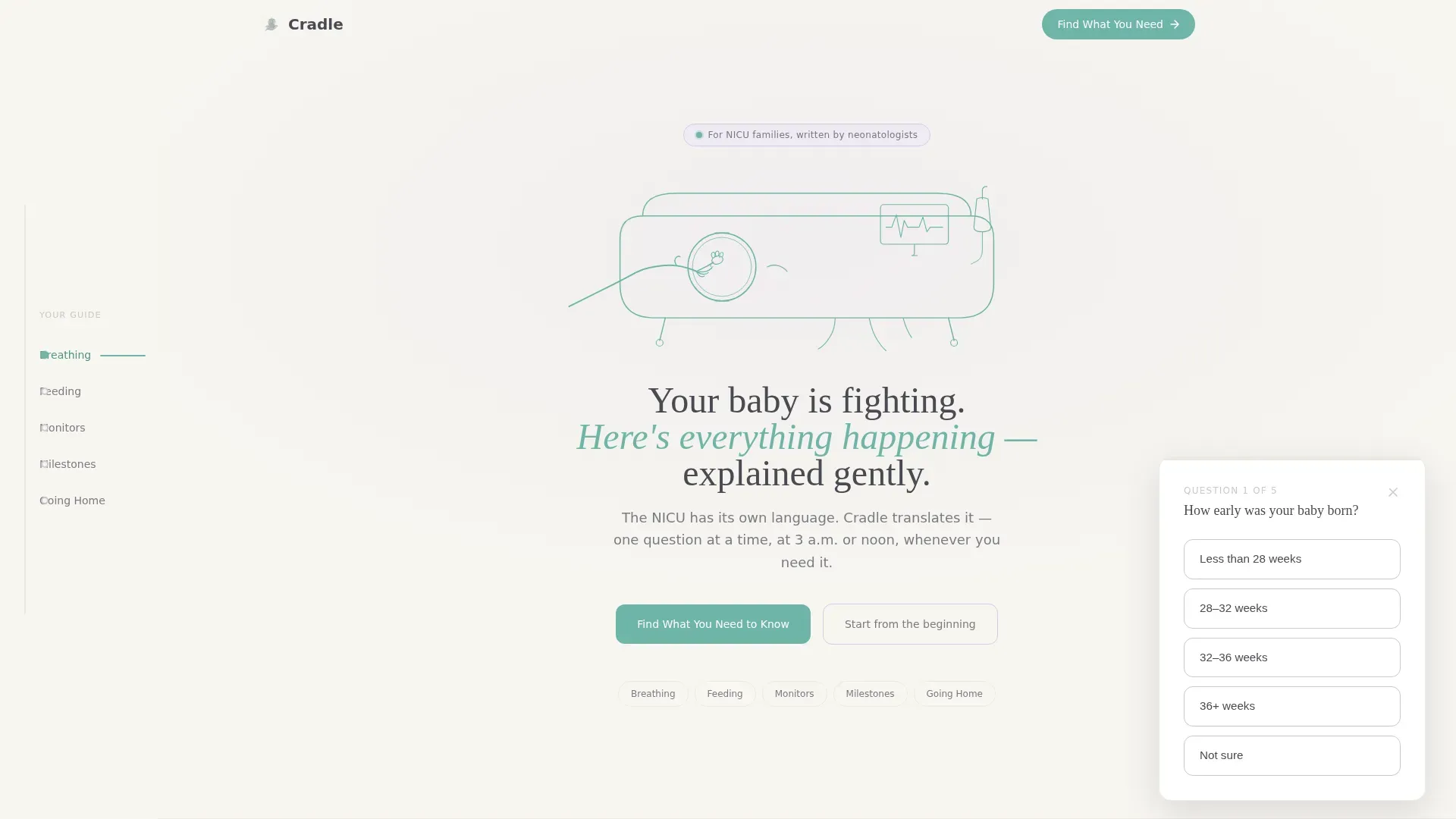 Neonatology Medicine Education Website Template