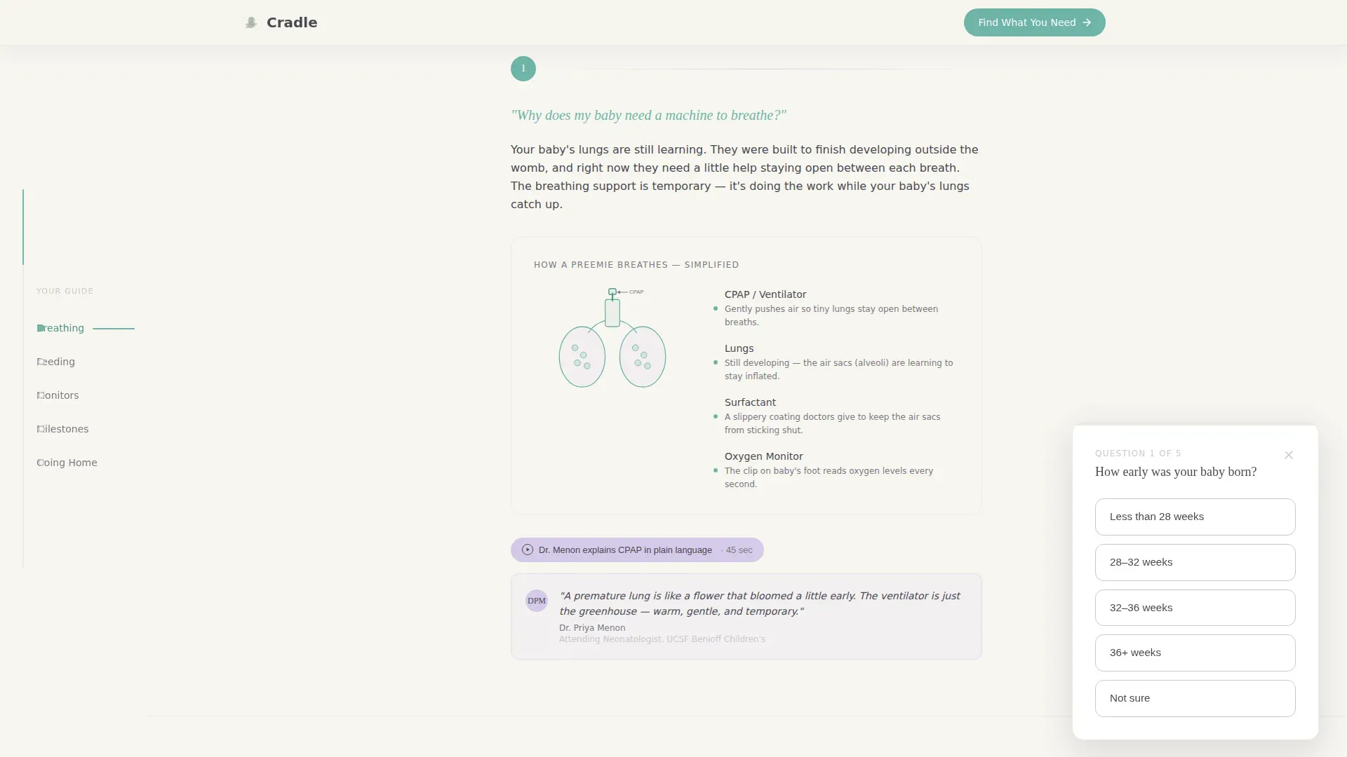 Neonatology Medicine Education Website Template