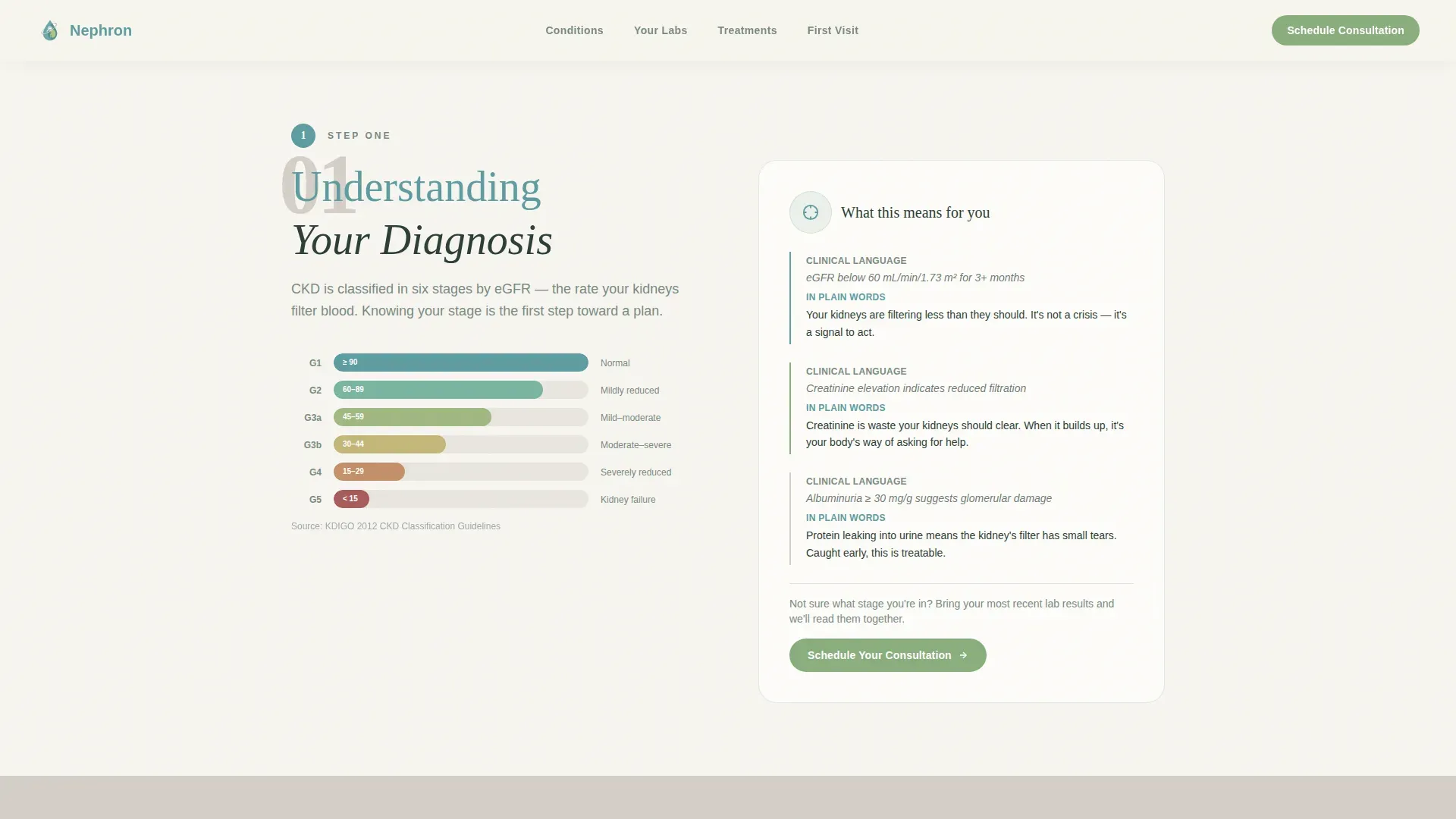 Nephrologist Practice Website Template for Kidney Patients