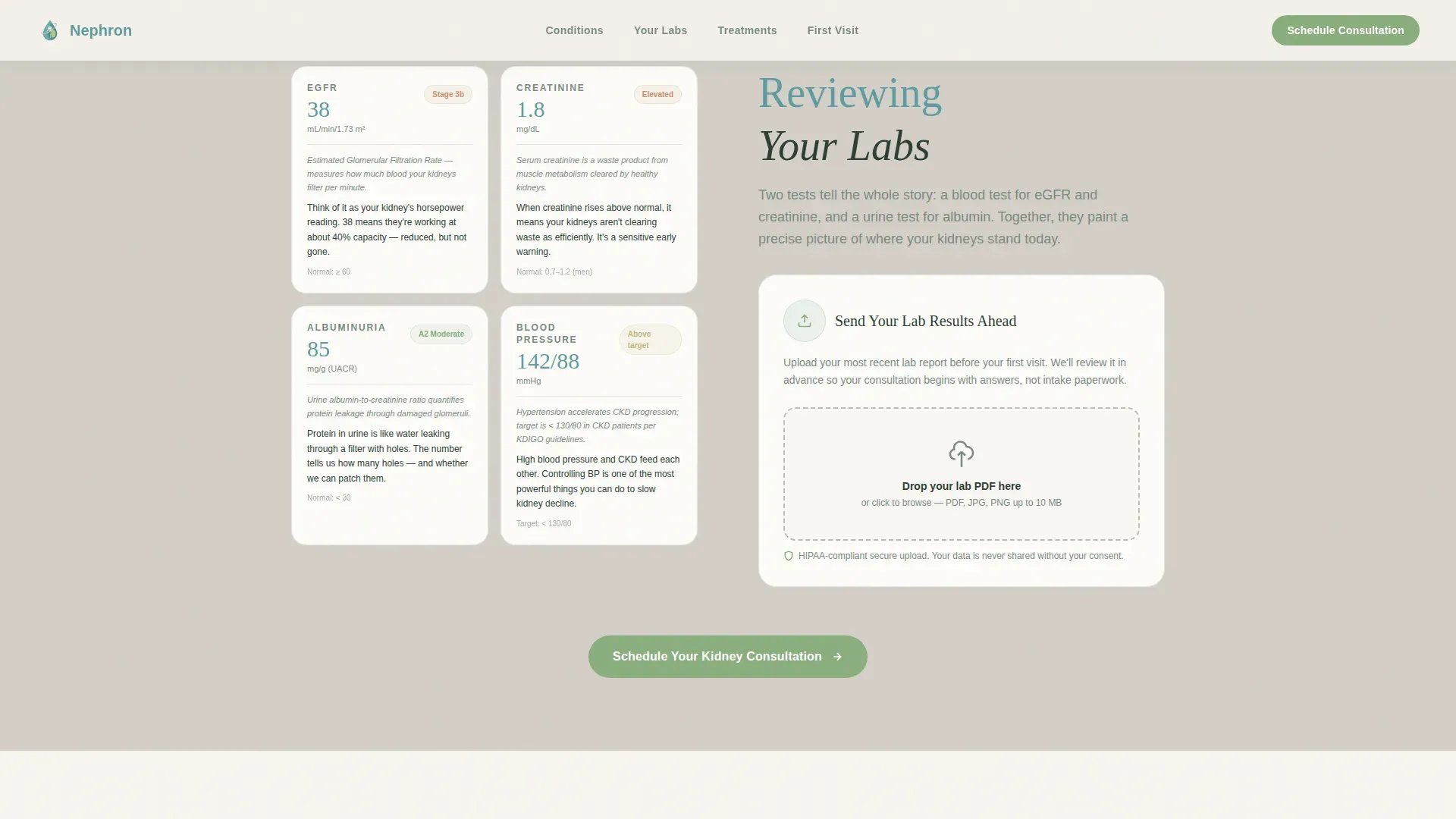 Nephrologist Practice Website Template for Kidney Patients