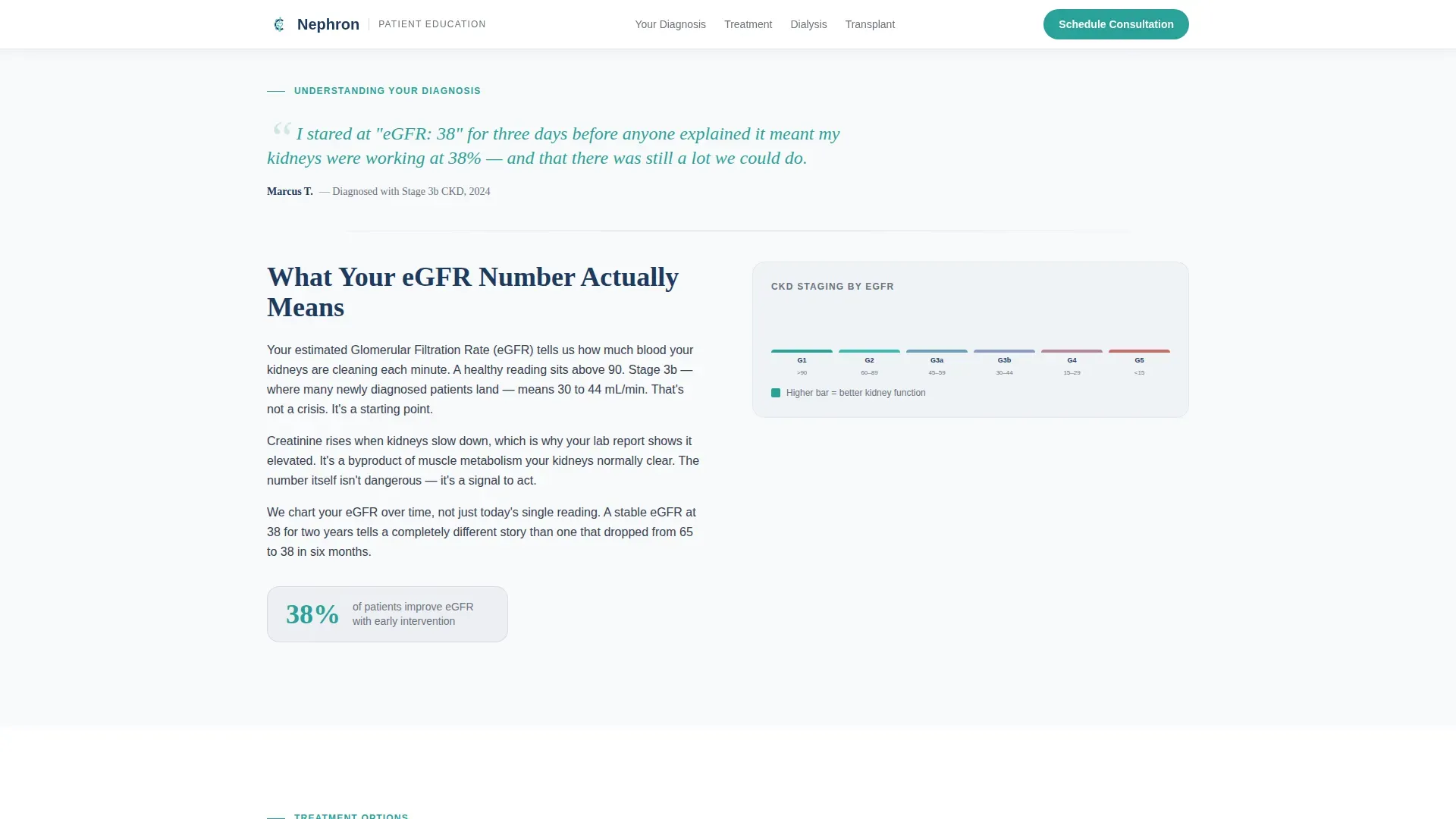 Nephrologist Specialist Booking Website Template