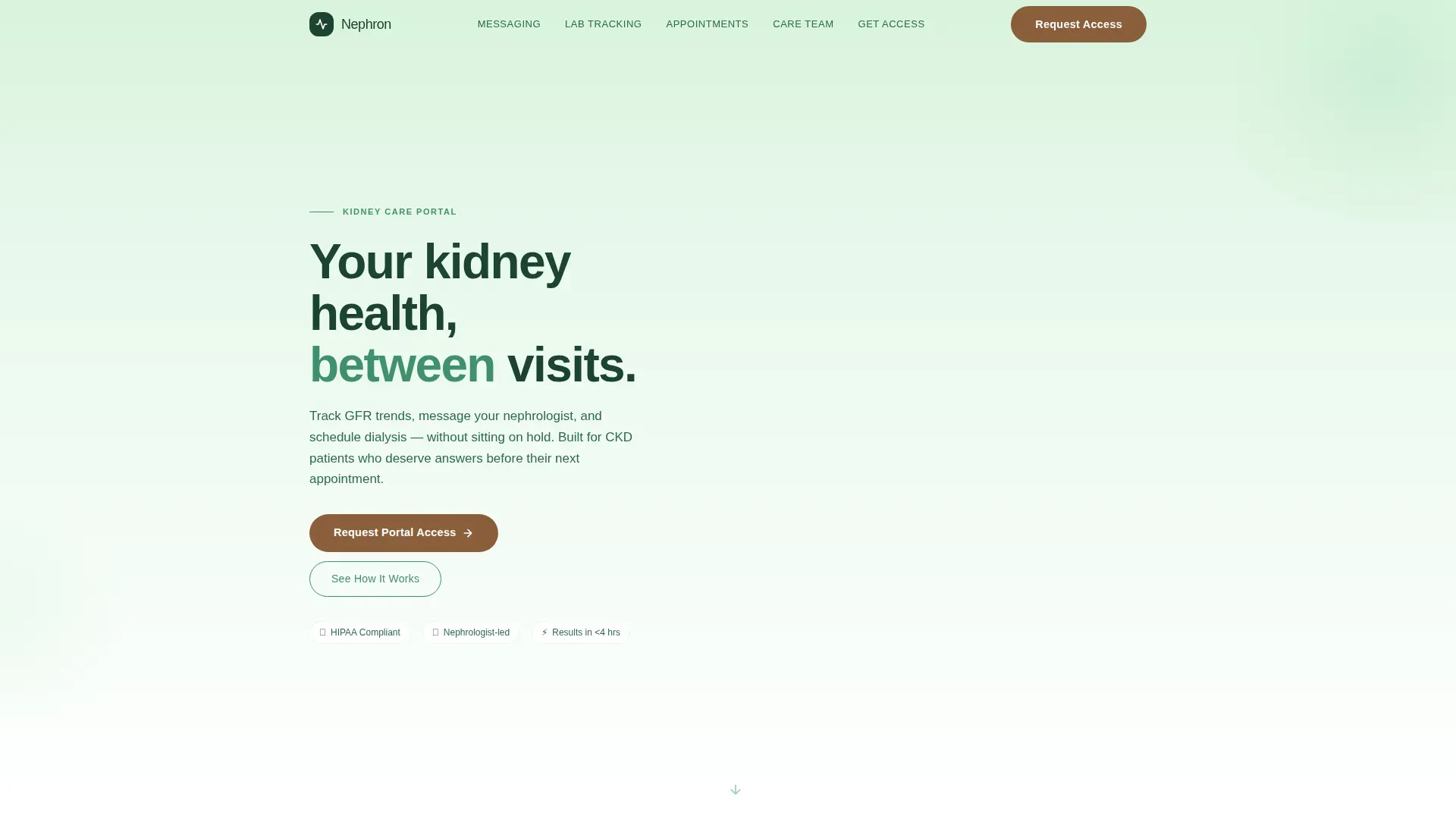 Nephrologist Booking Website Template
