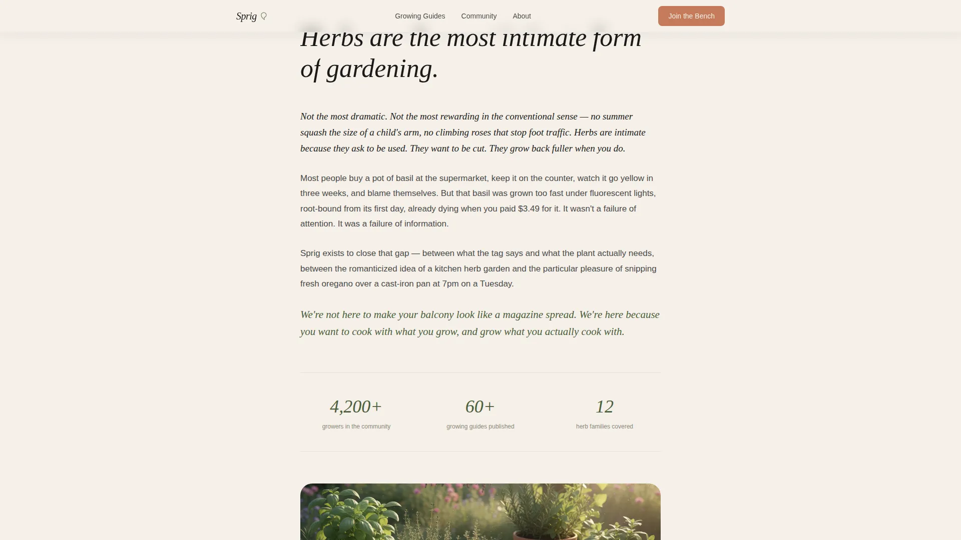 Hobby & Passion Content Blog & Content Website Template