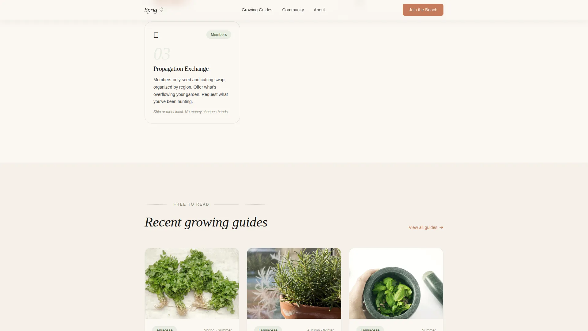 Hobby & Passion Content Blog & Content Website Template