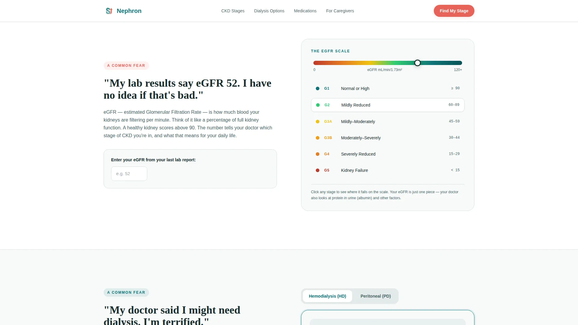 Nephrology Medicine Education Website Template