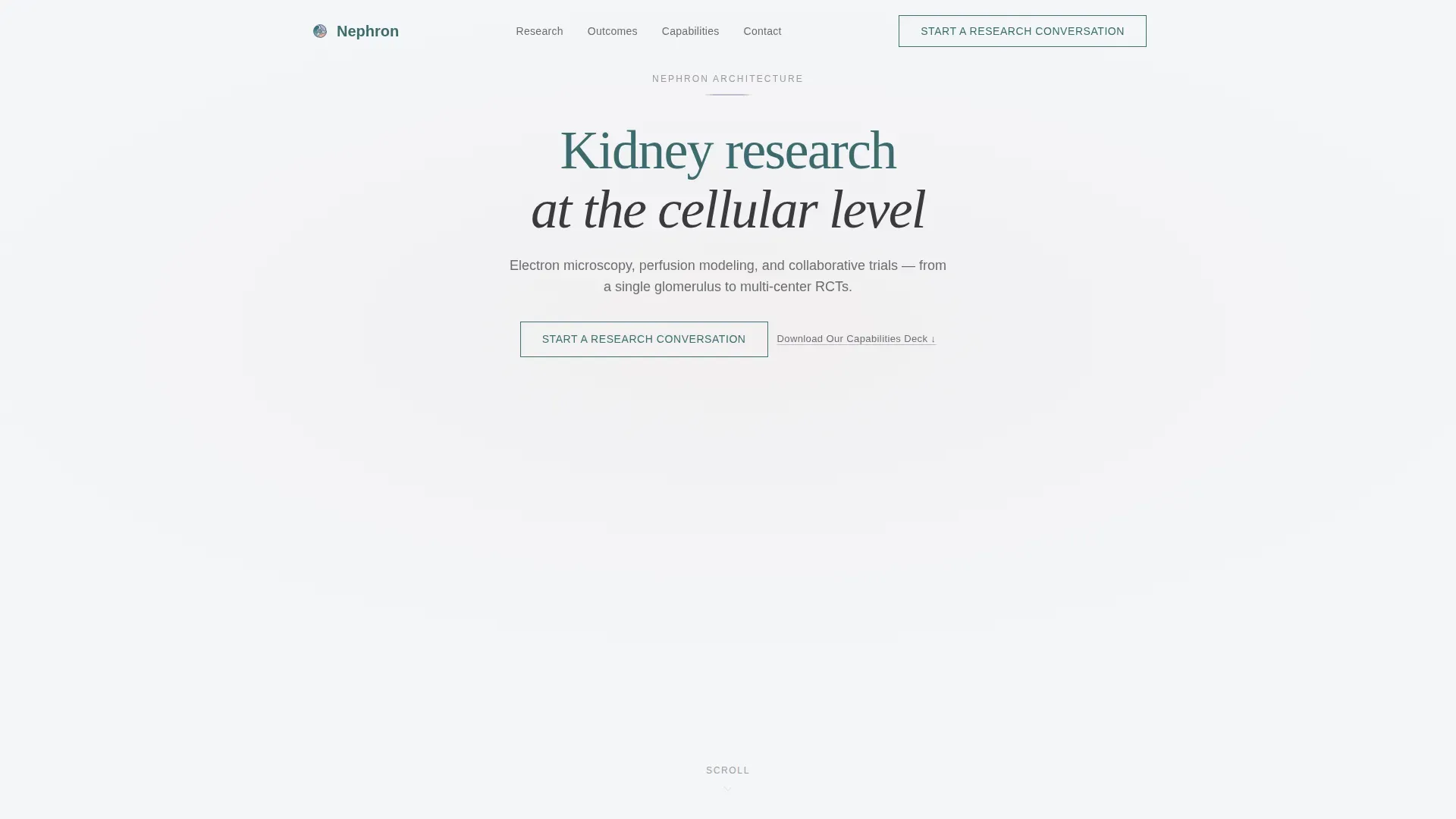 Nephrology Medicine Reviews Website Template