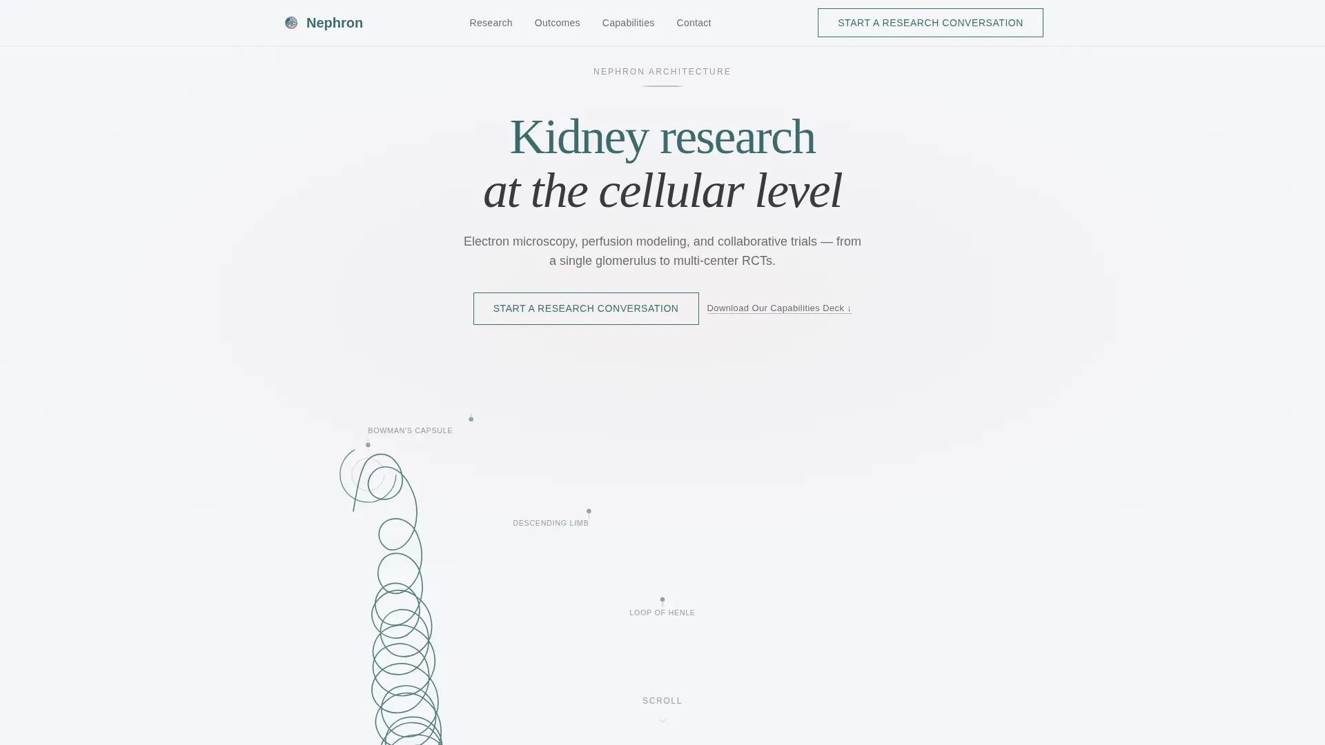 Nephrology Medicine Reviews Website Template