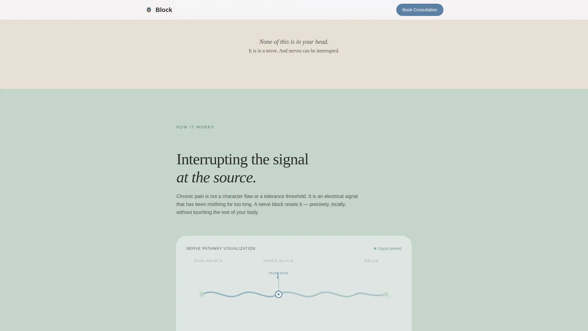 Pain Management Booking Website Template