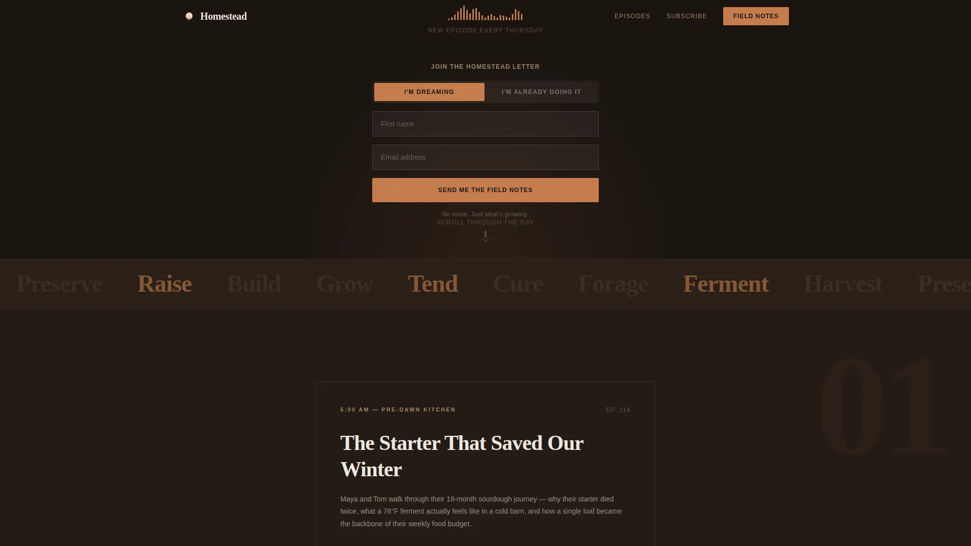 Rustic Podcast Landing Page Template