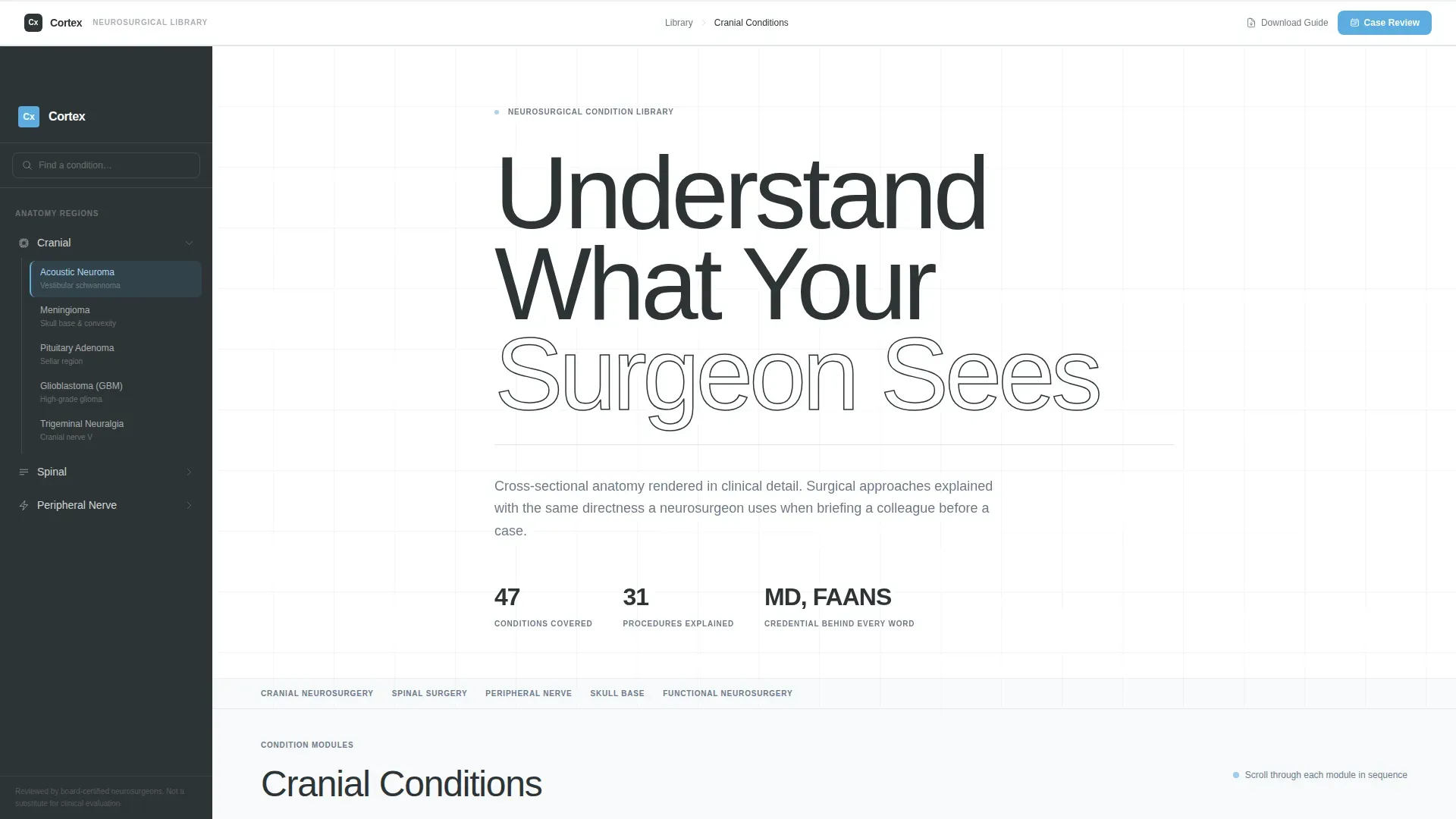 Neurosurgeon Specialist Booking Website Template