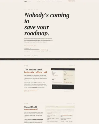 Expert Developer Landing Page Template